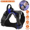 Light Up Dog Harness Rechargeable Led Dog Harness No Pull Lighted Dog Vest With Handle For Small/Medium/Large Dogs