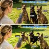 2-In-1 Dog Shock And Bark Collar Dog Training Collar With Remote Rechargeable Ip68 Waterproof With 3 Channels For Medium And Small Dogs