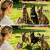 2 In 1 Wireless Dog Fence System With Training Collar Invisible Dog Fence Ip68 Waterproof With 722Ft Adjustable Range Beep Vibration  Static Shock