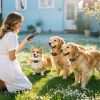 2-In-1 Dog Shock And Bark Collar Dog Training Collar With Remote Rechargeable Ip68 Waterproof With 3 Channels For Medium And Small Dogs