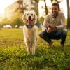 328Ft Electric Wireless Dog Fence System With Gps Location Monitor Collar Receiver Rechargeable Beep Vibration Fence System For Small Medium Large Dog